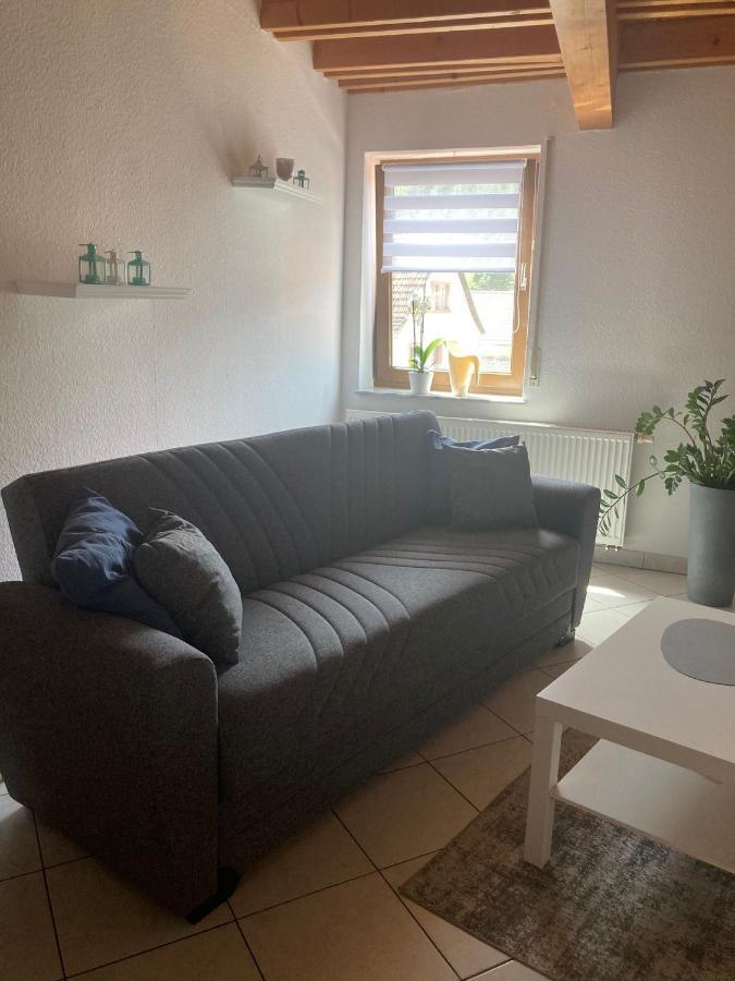 Dz Im Haus Maja Apartment Holzkirchen  ภายนอก รูปภาพ